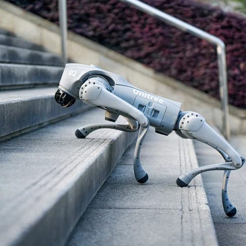 Robot Dogs